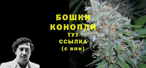 mdma Бородино